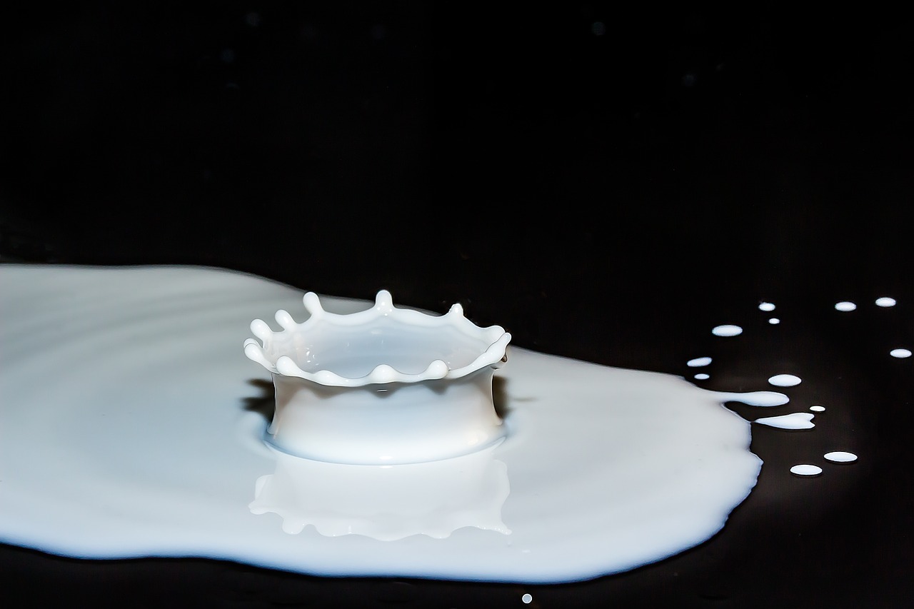 The Role of Eco-Friendly Products in Corporate Responsibility